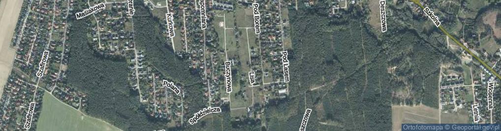 Zdjęcie satelitarne Lisa Witalisa ul.